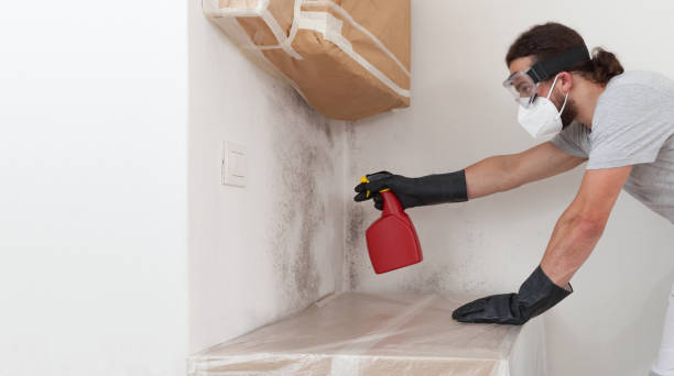 Professional Basement Mold Remediation technician working in Prior Lake, MN
