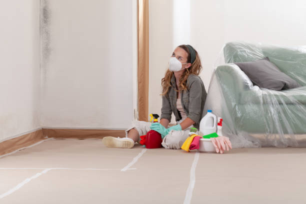 Reliable Basement Mold Remediation contractor in Prior Lake, MN by WQB Mold Removal